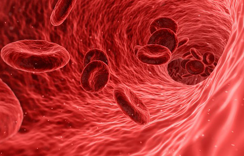 blood